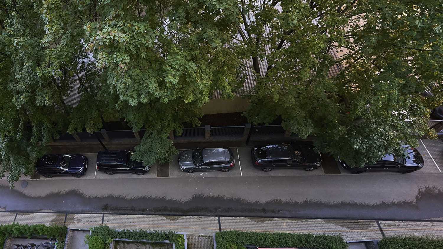 фото галереи